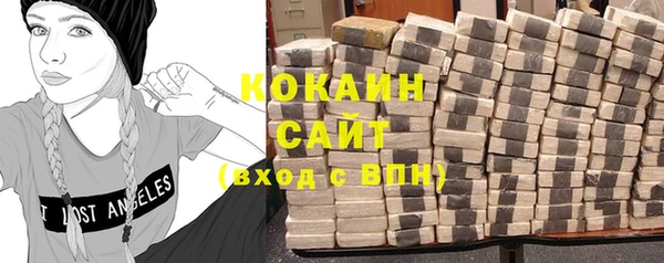 соль ск Дмитриев